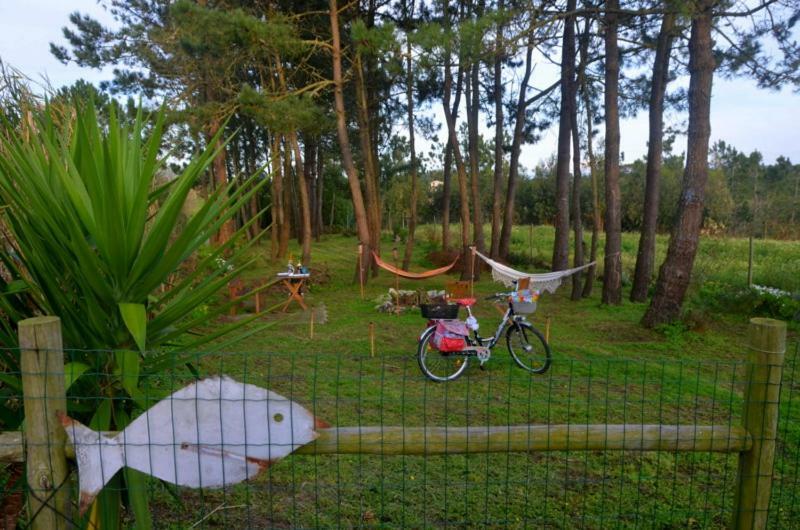 Happy Cat House - Holiday Rental เซามาร์ทินโญโดปอร์โต ภายนอก รูปภาพ