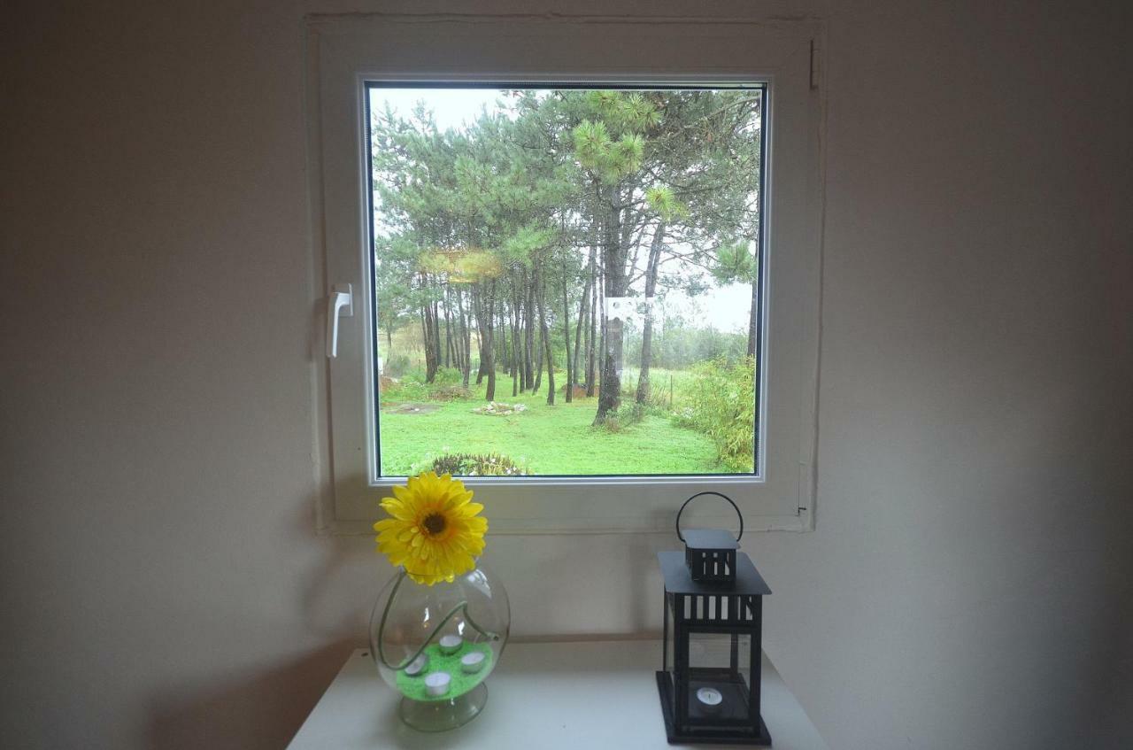 Happy Cat House - Holiday Rental เซามาร์ทินโญโดปอร์โต ภายนอก รูปภาพ